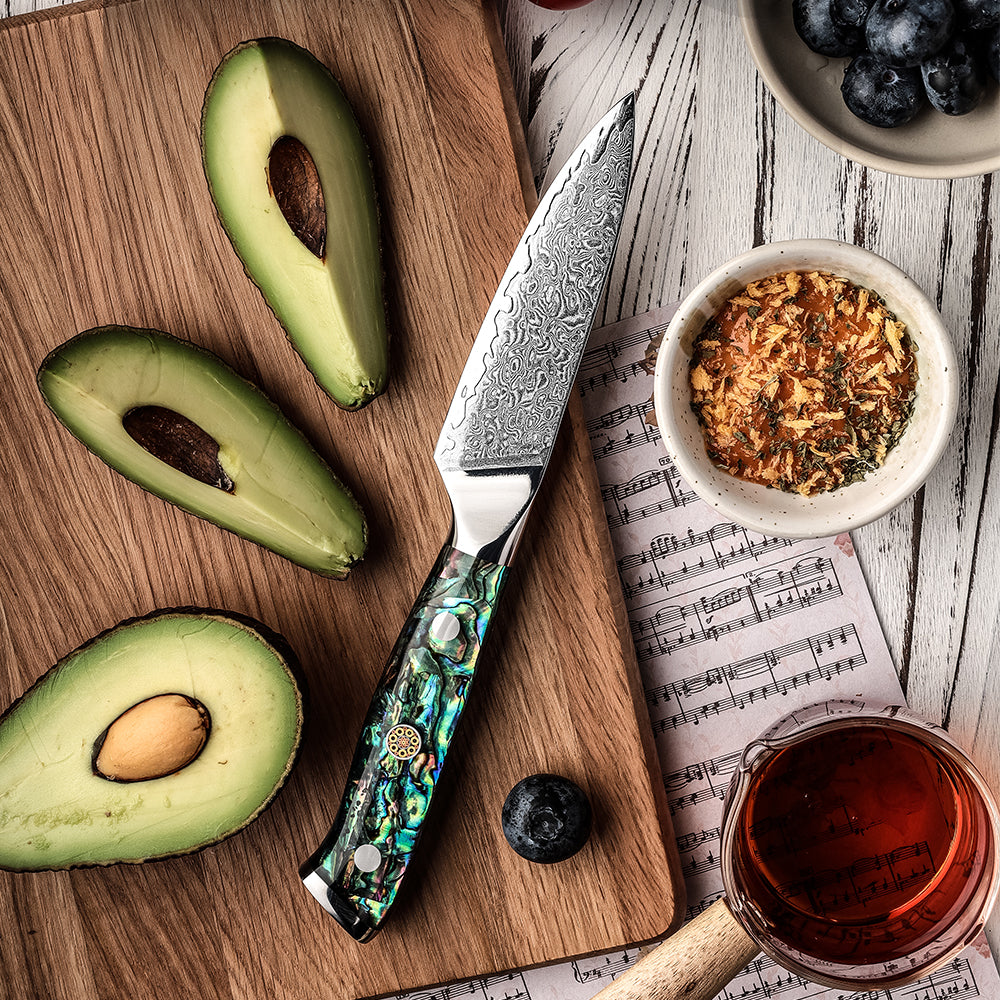 Cuchillo Puntilla 9cm 10Cr+Lluvia Damasco67 Mango de Abalón ingredientes abocado arrandano