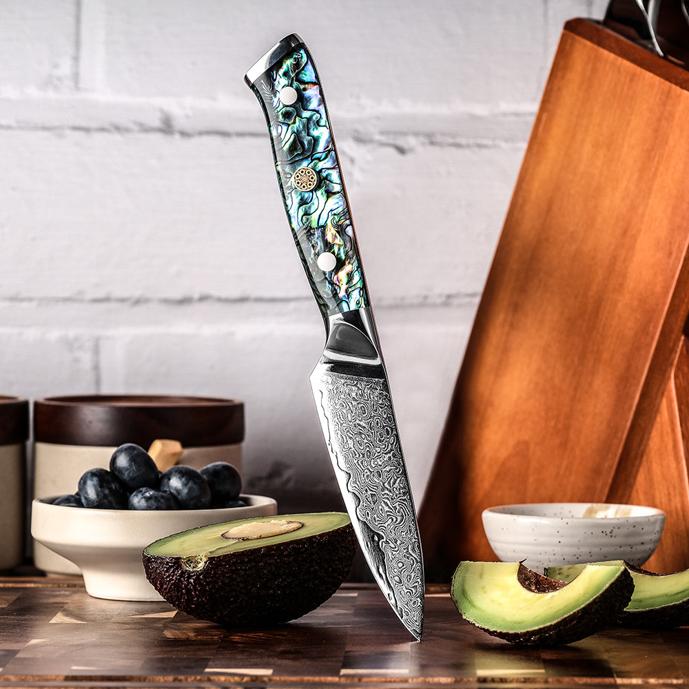 Cuchillo Puntilla 9cm 10Cr+Lluvia Damasco67 Mango de Abalón apuntando a la tabla de picar