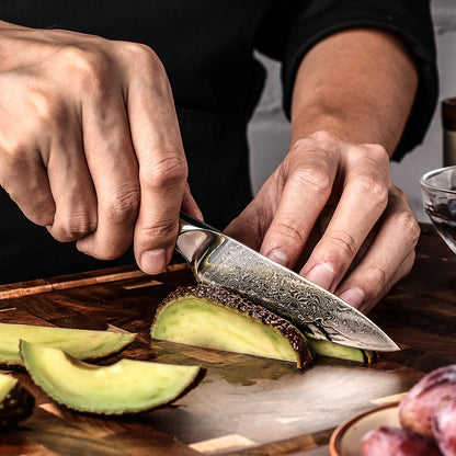 Cuchillo Puntilla 9cm 10Cr+Lluvia Damasco67 Mango de Abalón corte de rodajas de avocado