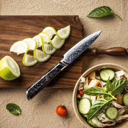 DMS-154E_Cuchillo Puntilla 10cm 10Cr+Gotas Damasco128 Full Tang Resina Carbono con limón peruano y ensalada de verduras