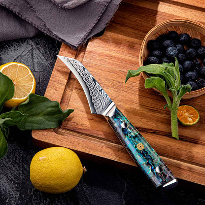 Cuchillo Torneador 10cm 10Cr+Damasco ABALÓN